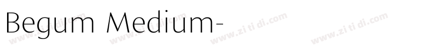 Begum Medium字体转换
